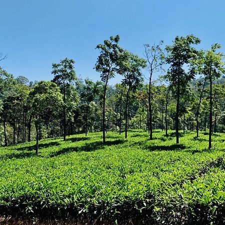 Cassells Jungle Resorts Thekkady Vandiperiyār Kültér fotó