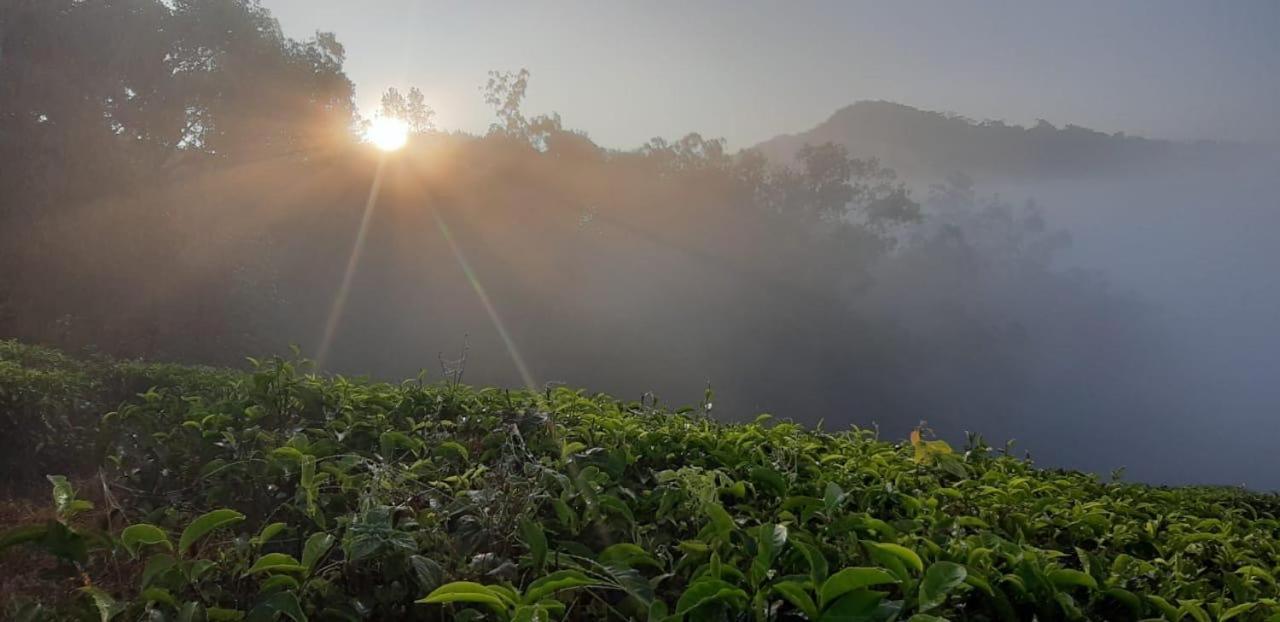 Cassells Jungle Resorts Thekkady Vandiperiyār Kültér fotó