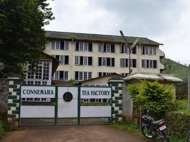 Cassells Jungle Resorts Thekkady Vandiperiyār Kültér fotó