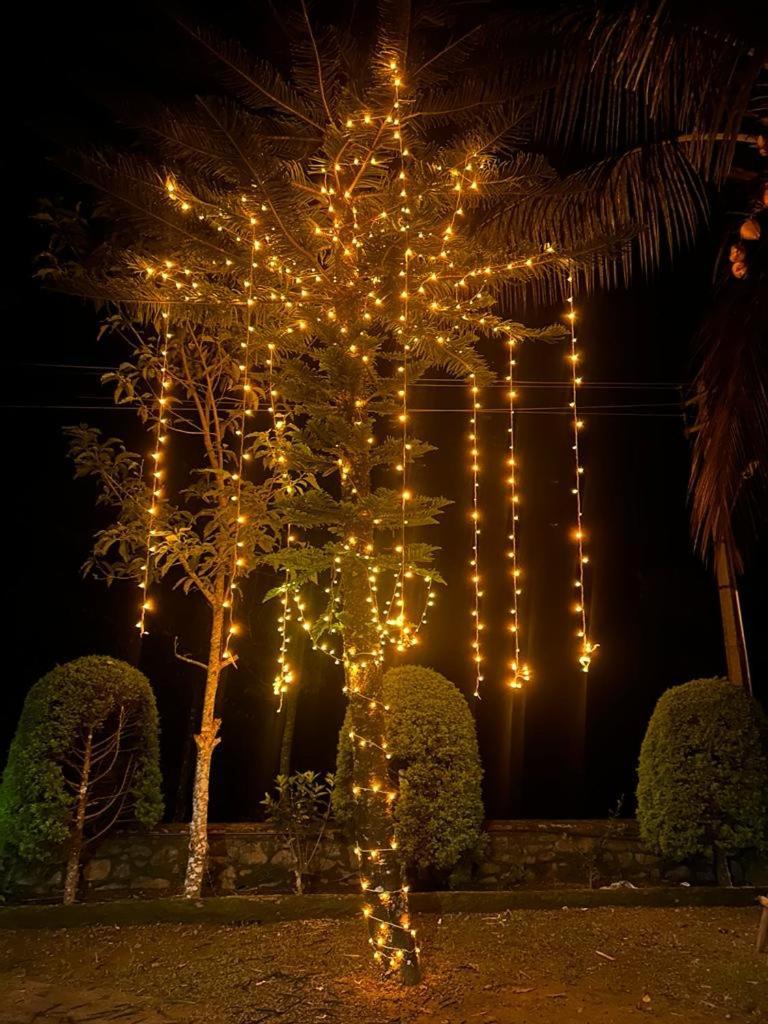 Cassells Jungle Resorts Thekkady Vandiperiyār Kültér fotó