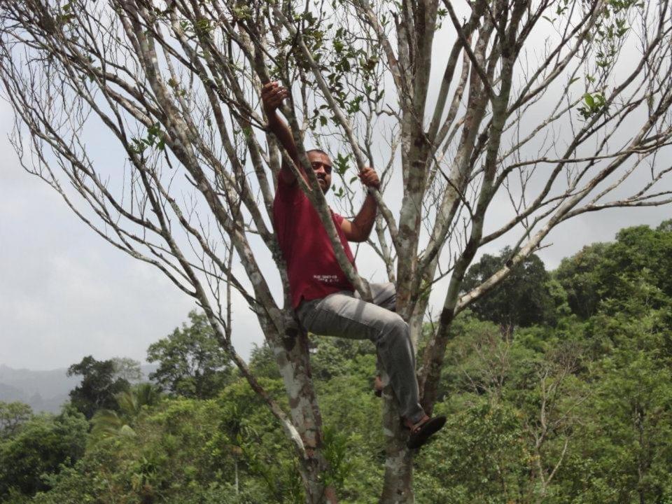 Cassells Jungle Resorts Thekkady Vandiperiyār Kültér fotó
