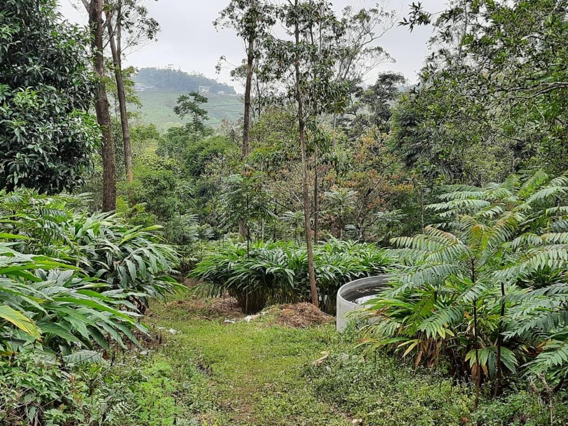 Cassells Jungle Resorts Thekkady Vandiperiyār Kültér fotó
